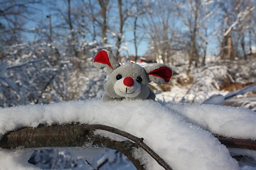 Image showing A winter mouse.