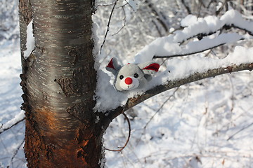 Image showing A winter mouse.