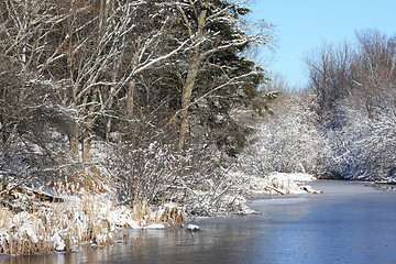 Image showing Season of winter.