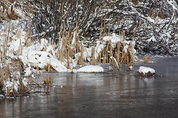 Image showing Season of winter.