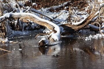 Image showing Season of winter.