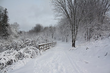 Image showing Season of winter.