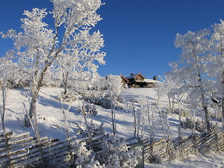 Image showing Norwegian mountain cabin