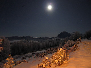 Image showing Freezing winternight