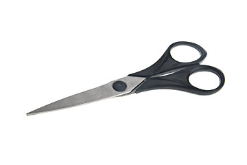 Image showing Scissors