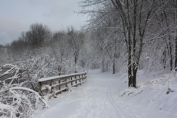 Image showing Season of winter.