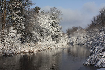 Image showing Season of winter.