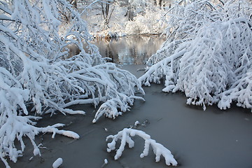 Image showing Season of winter.