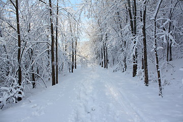 Image showing Season of winter.