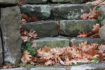 Image showing Autumn steps.