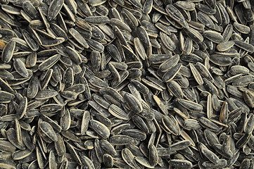 Image showing roasted sunflower seeds 