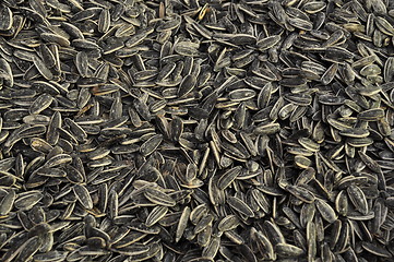 Image showing roasted sunflower seeds