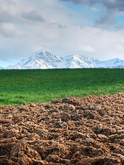 Image showing Agricultural landscape