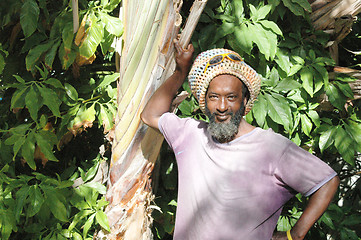 Image showing smiling rasta man 853