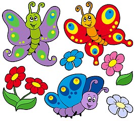 Image showing Various cute butterflies