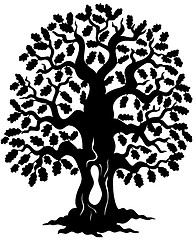 Image showing Oak tree silhouette