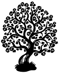 Image showing Lime tree silhouette