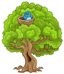 Image showing Big tree with blue bird in nest