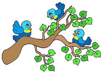 Image showing Three small birds sitting on branch
