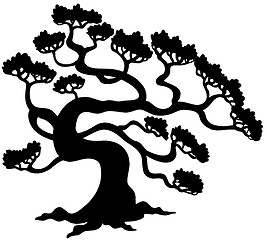 Image showing Pine tree silhouette