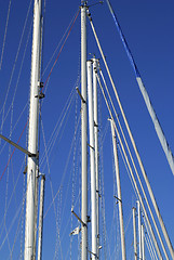 Image showing Tall masts