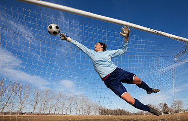 Image showing Goalie