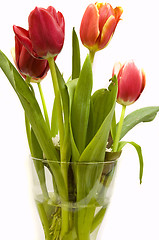 Image showing tulips bouquet