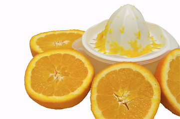 Image showing orange