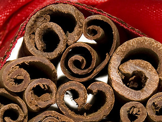 Image showing macro cinnamon