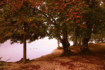 Image showing Autumn Lake Bohinj