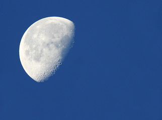 Image showing The Moon