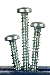 Image showing Three screws