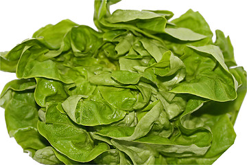 Image showing lettuce