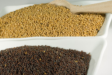 Image showing mustard seeds