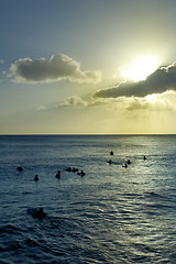 Image showing Surfing on Waikiki Beach