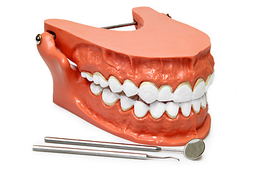 Image showing Teeth model