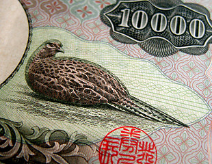 Image showing 10000 Yen Texture