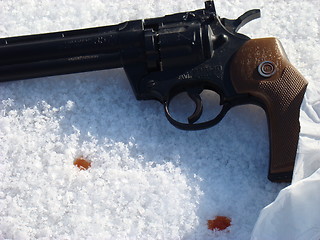 Image showing Gun 