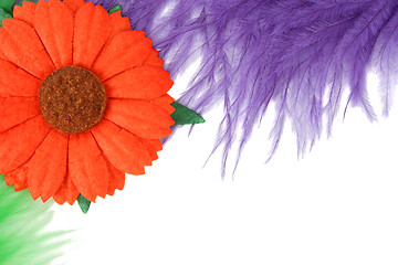 Image showing Feathers and Flower