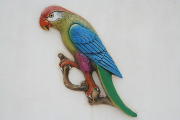 Image showing Parrot