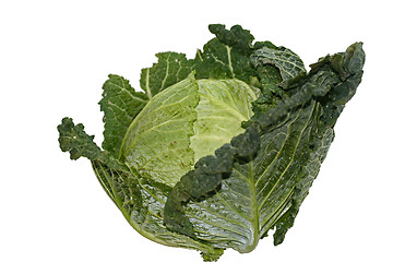 Image showing savoy cabbage