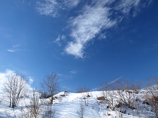 Image showing Shapes of winter.