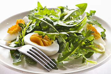 Image showing Salad