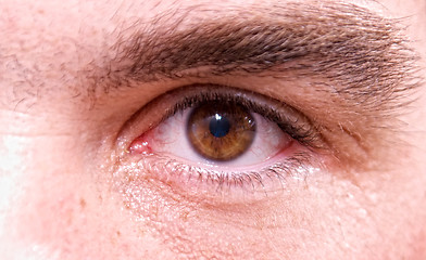 Image showing brown eye