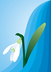 Image showing Snowdrop