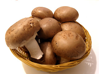 Image showing mushrooms