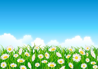 Image showing Beautiful flower field