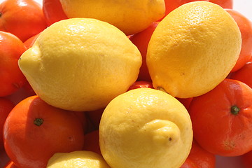 Image showing Oranges and lemons