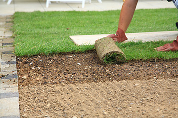 Image showing Laying sod for new lawn