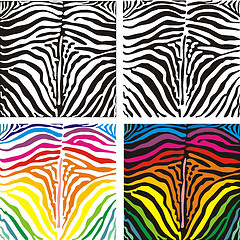 Image showing Vector background skin zebra